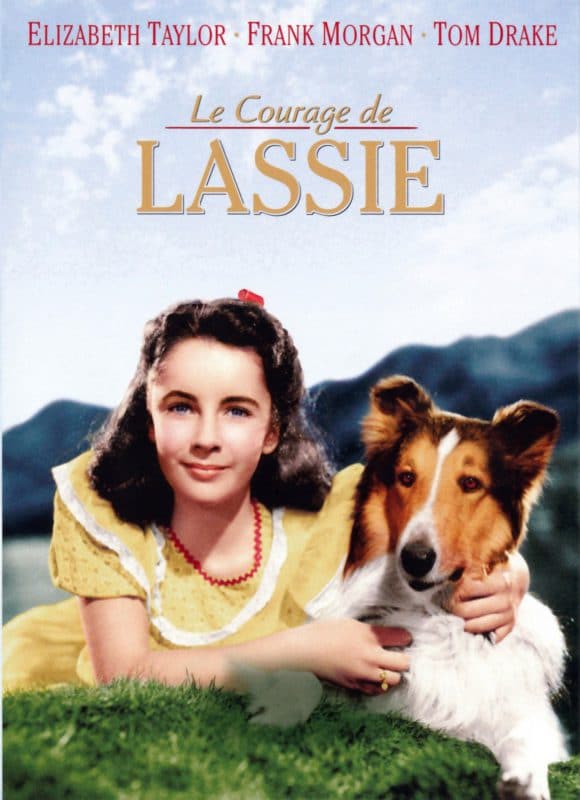 Le film Lassie