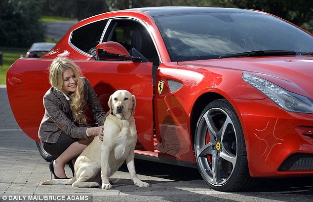 chien devant une Ferrari