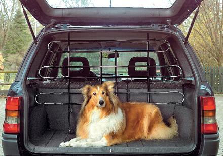 Chien Lassie dans une voiture