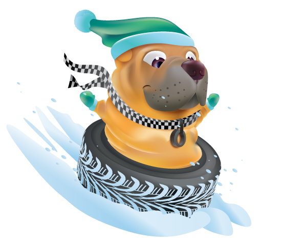Tiregom Hiver