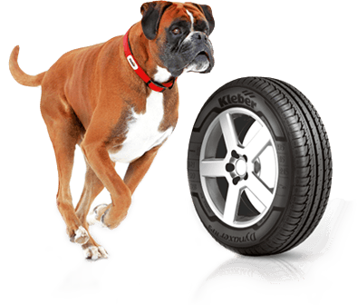 Le chien Urvic - Mascotte de la marque Kleber