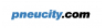 Pneucity