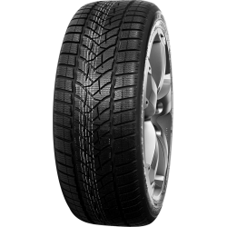 Dunlop Winter Sport 5 Suv